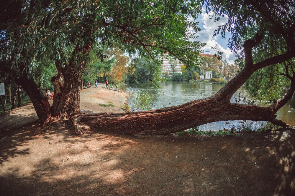 Photograph by Марат Гизатуллин