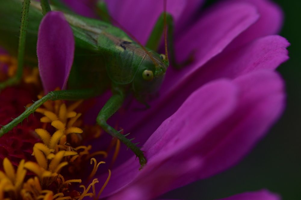 Photograph by Раббе Владимир