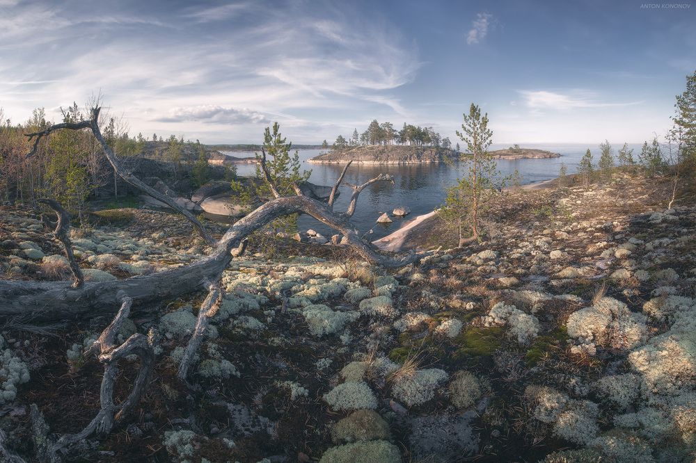 Photograph by Антон Кононов