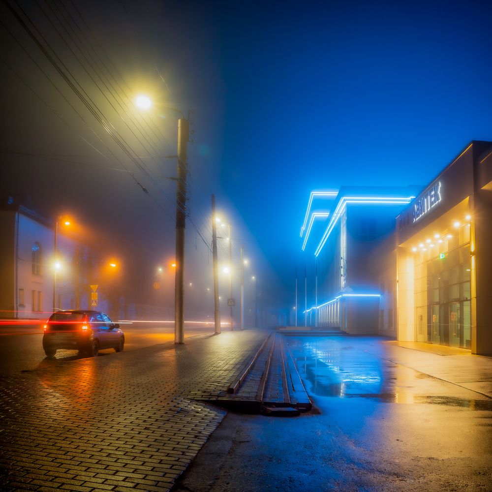 Ночной цвет