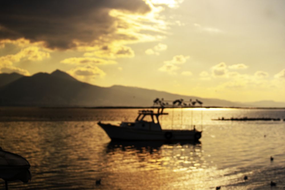 Photograph by Sedef Onum