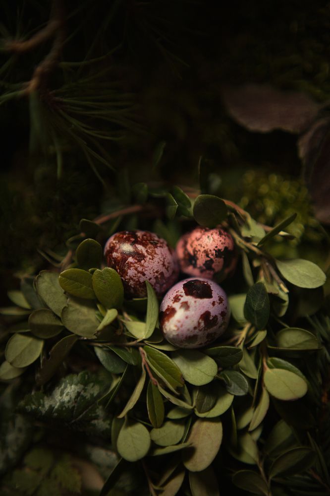 Photograph by Марго Лимп