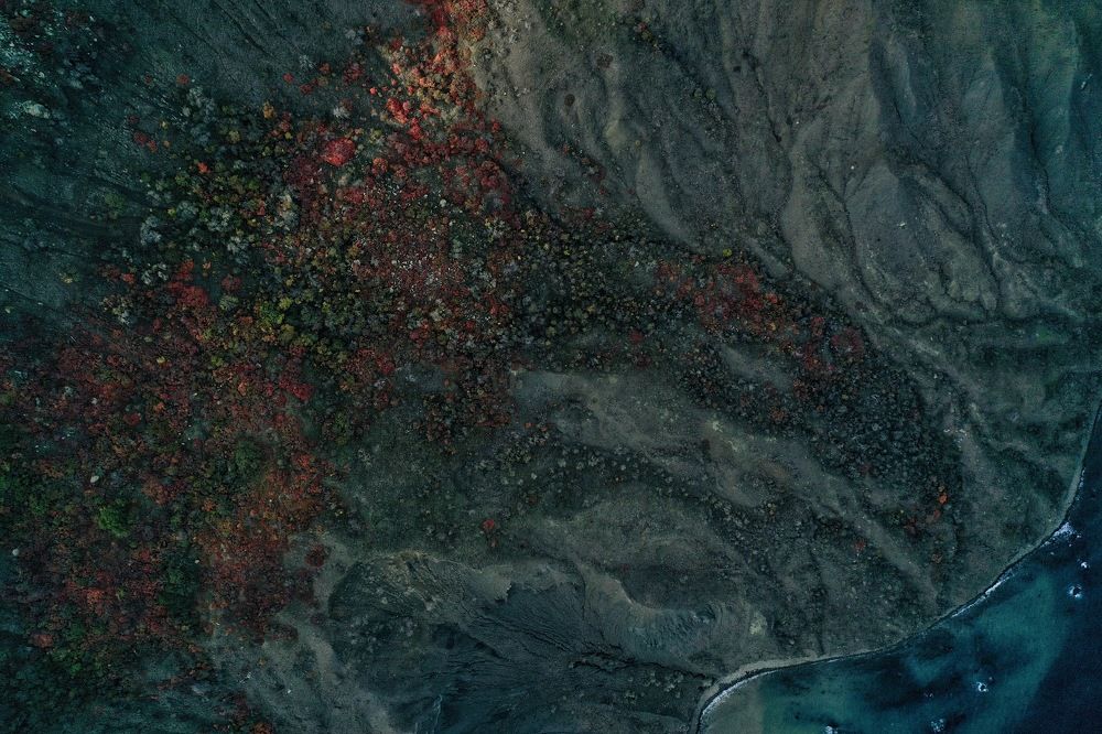 Photograph by Дмитрий Батагов