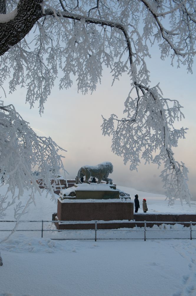 Photograph by Сафронова Любовь