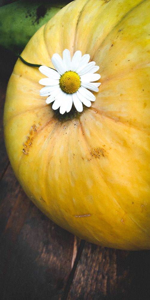 Photo #5904689