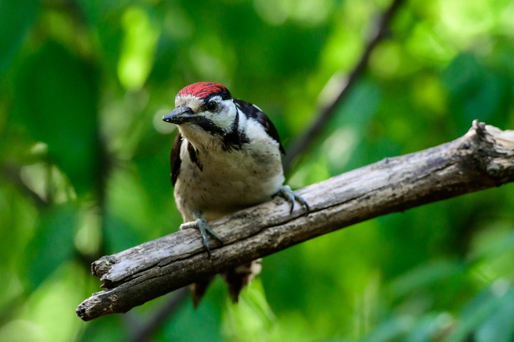 Photograph by Мария Новоселецкая
