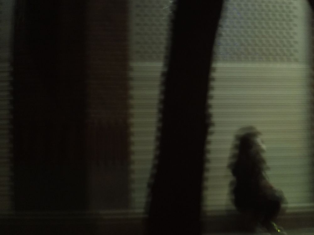 The girl looks forward to..