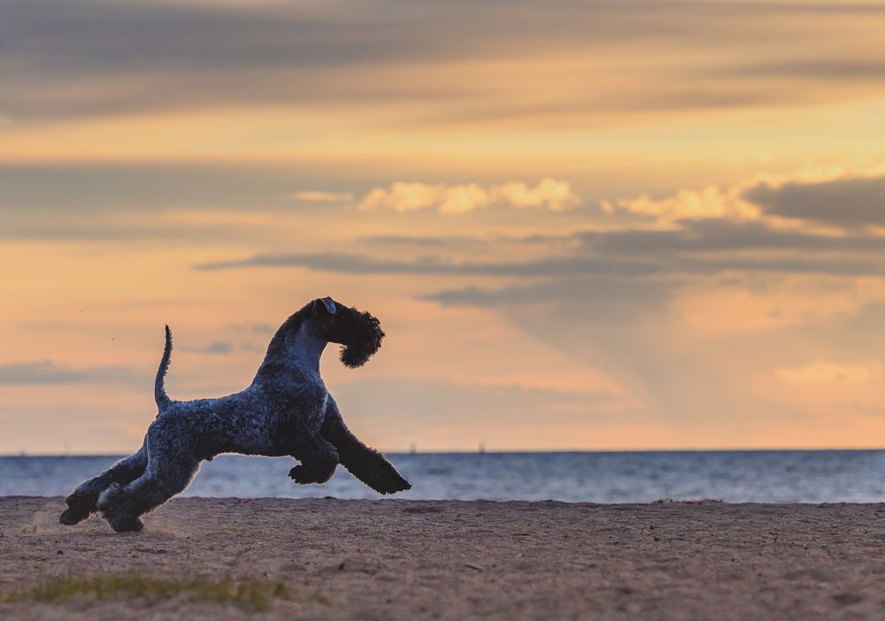 Бегом по закату