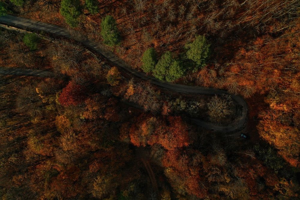 Photograph by Дмитрий Батагов