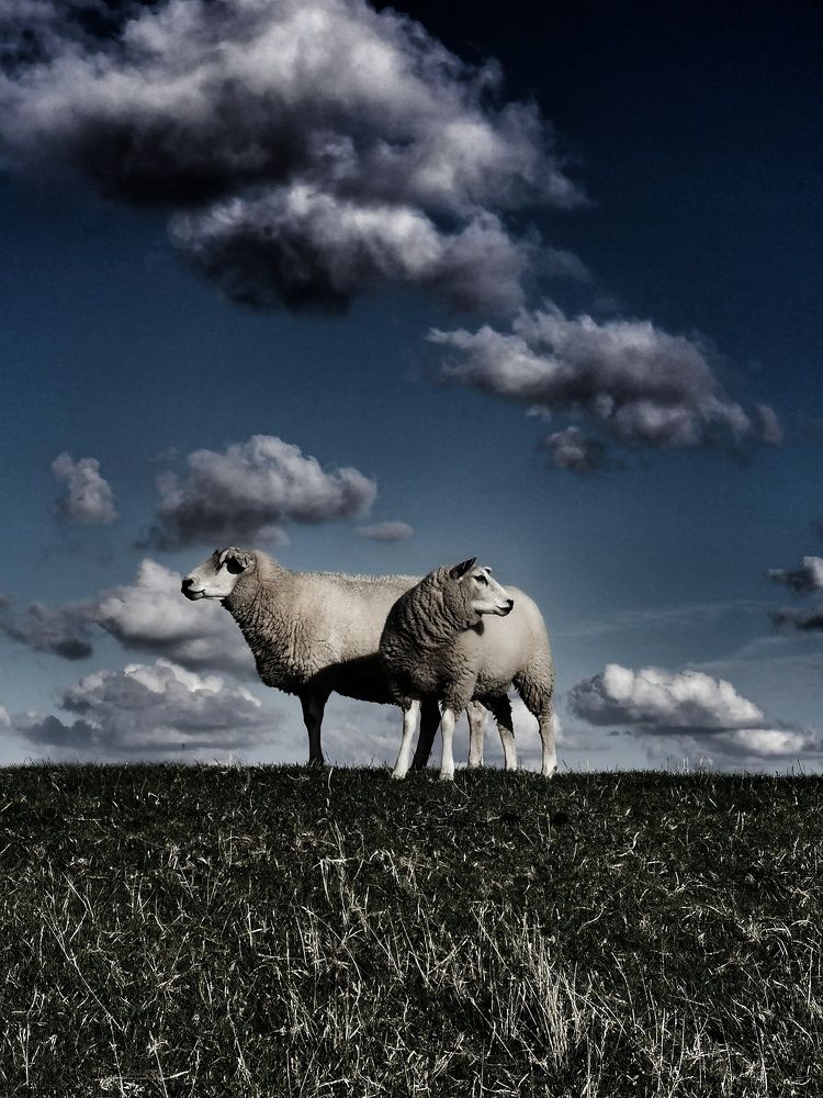 Photograph by Olga Weinberger