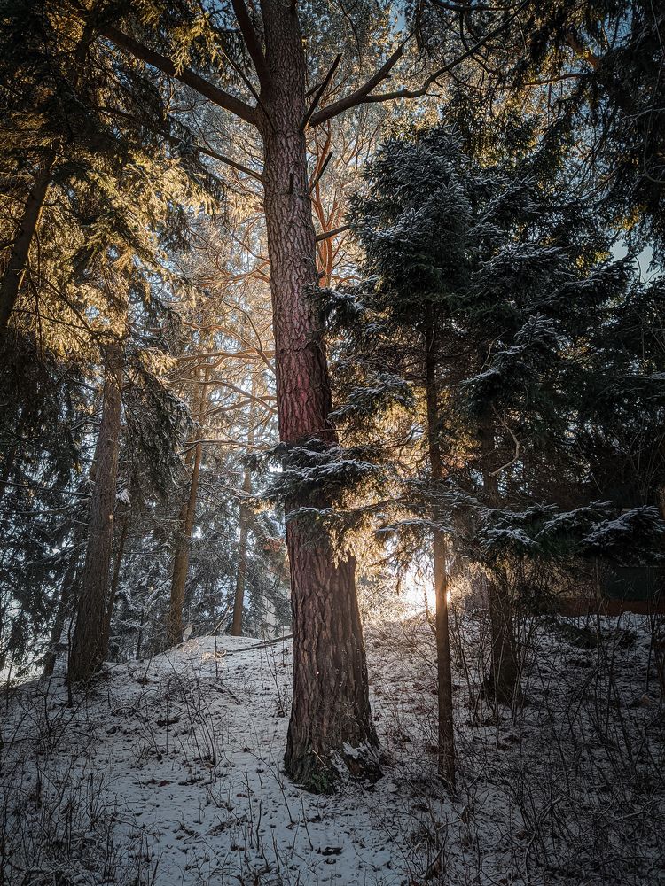 Photograph by Темур Сапрыкин