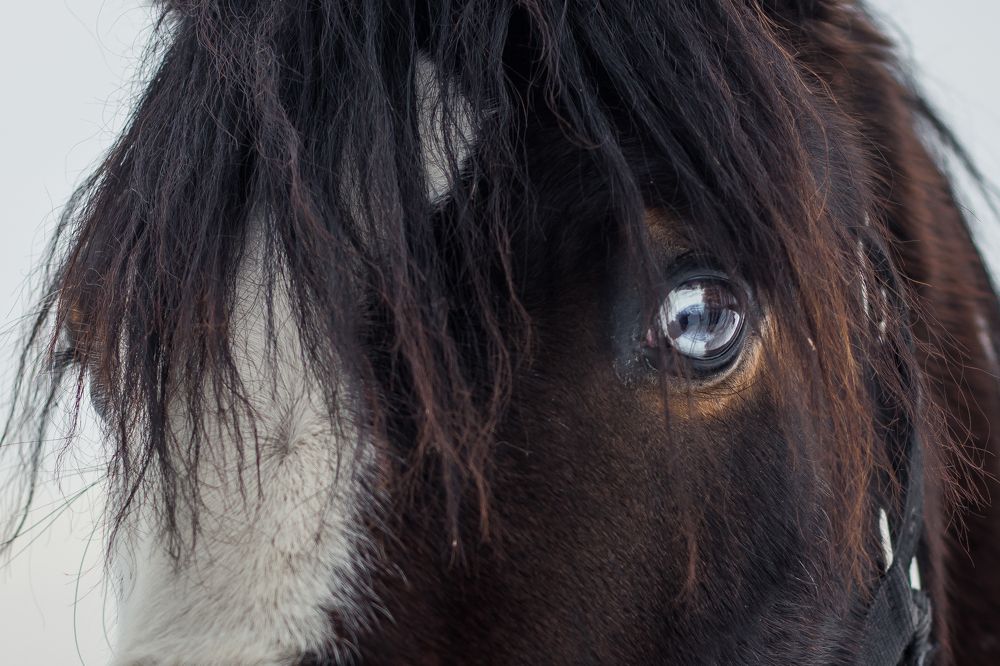 Photograph by Марина Кирпичникова