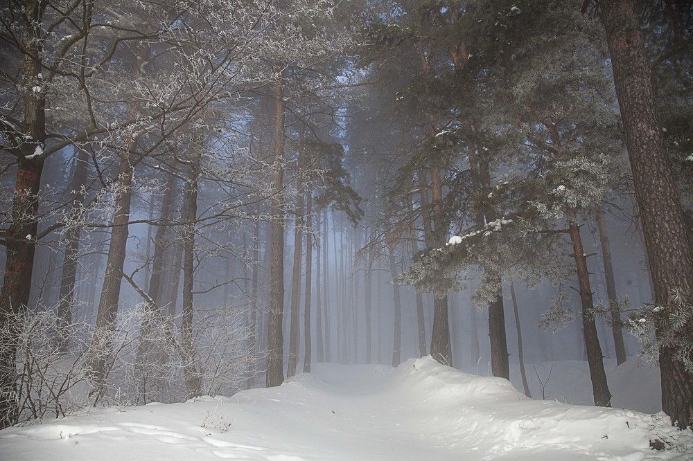 Фотография автора Дарья Мо