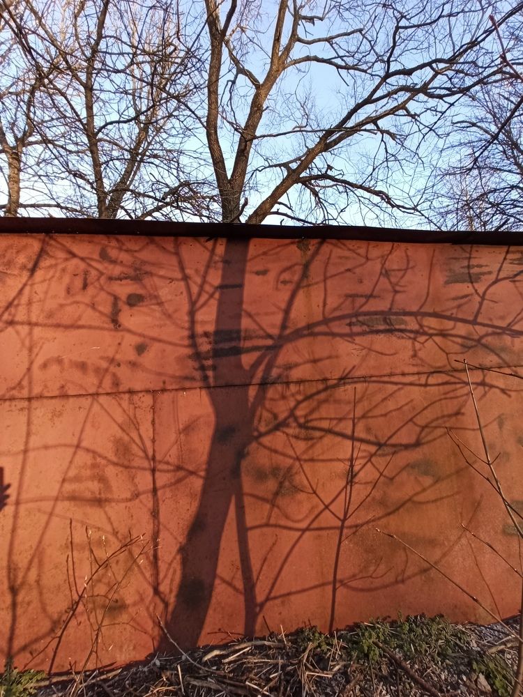 Photograph by Вадим Боченков