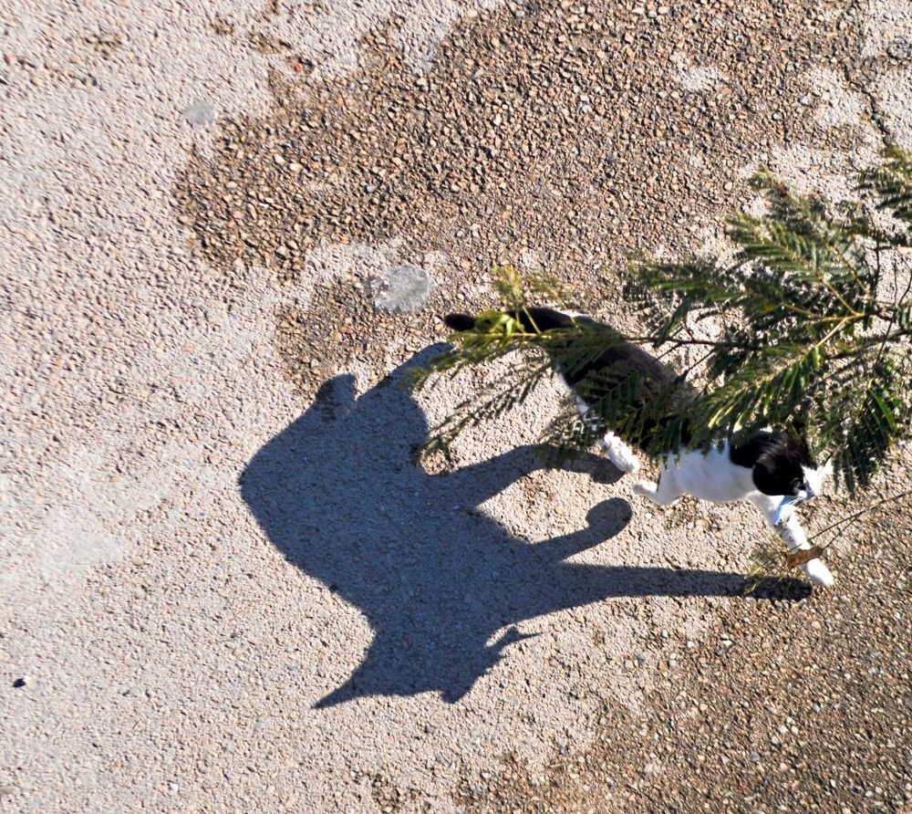 Photograph by Stoyan Baev