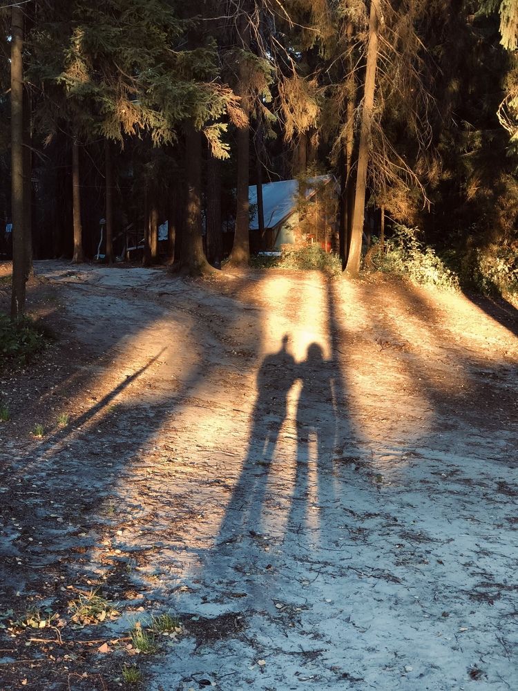 Фотография автора Дарья Егорова