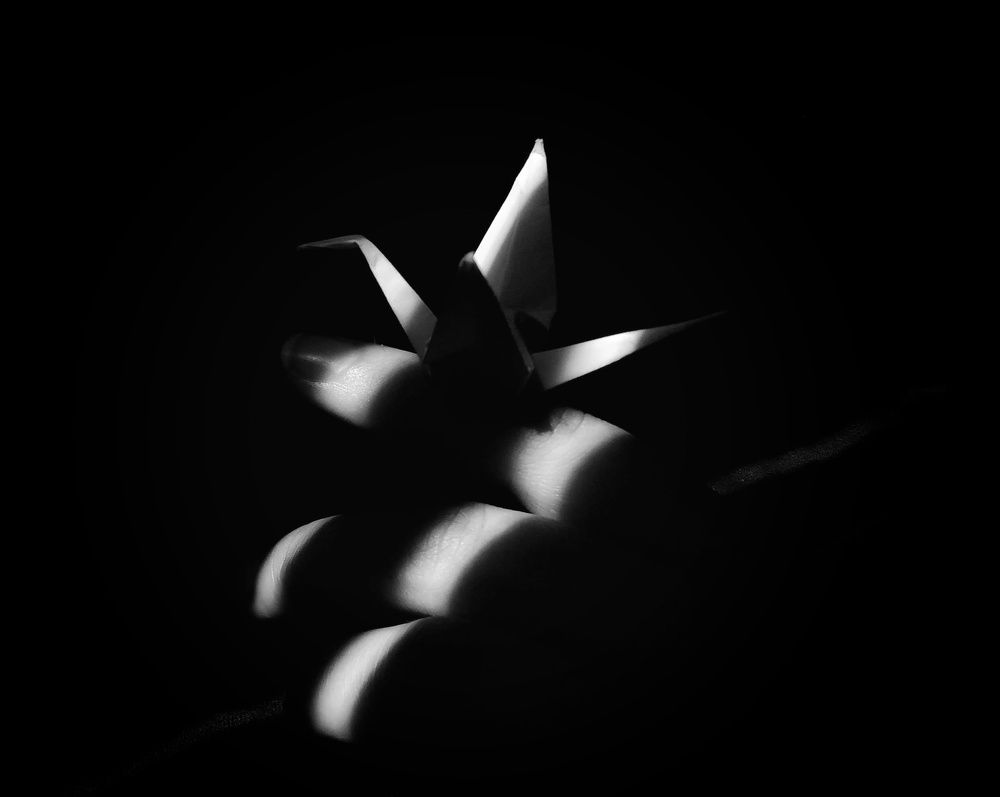 Photograph by Jeferson Sampaio