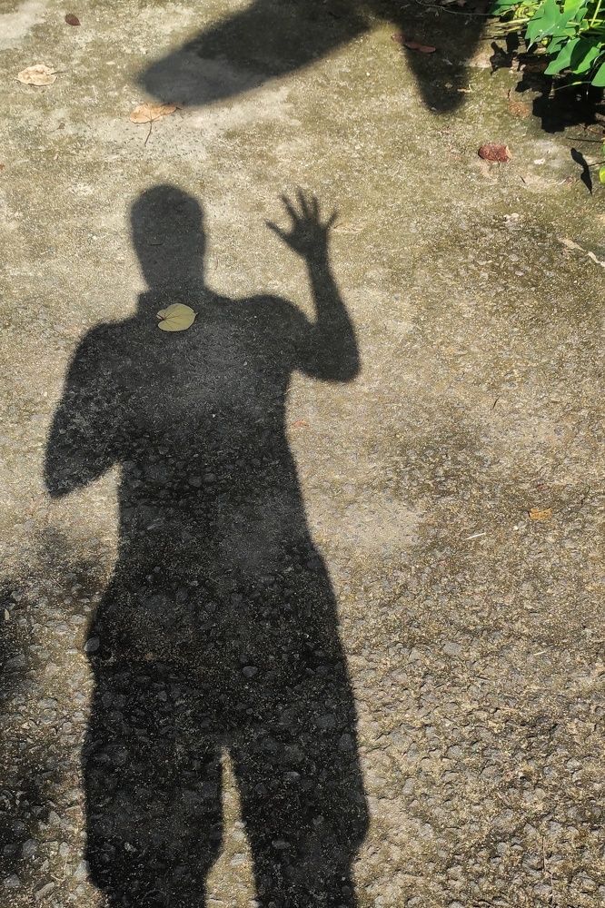 Photograph by Chamara Sulakkhana Polwatta Siriyalage