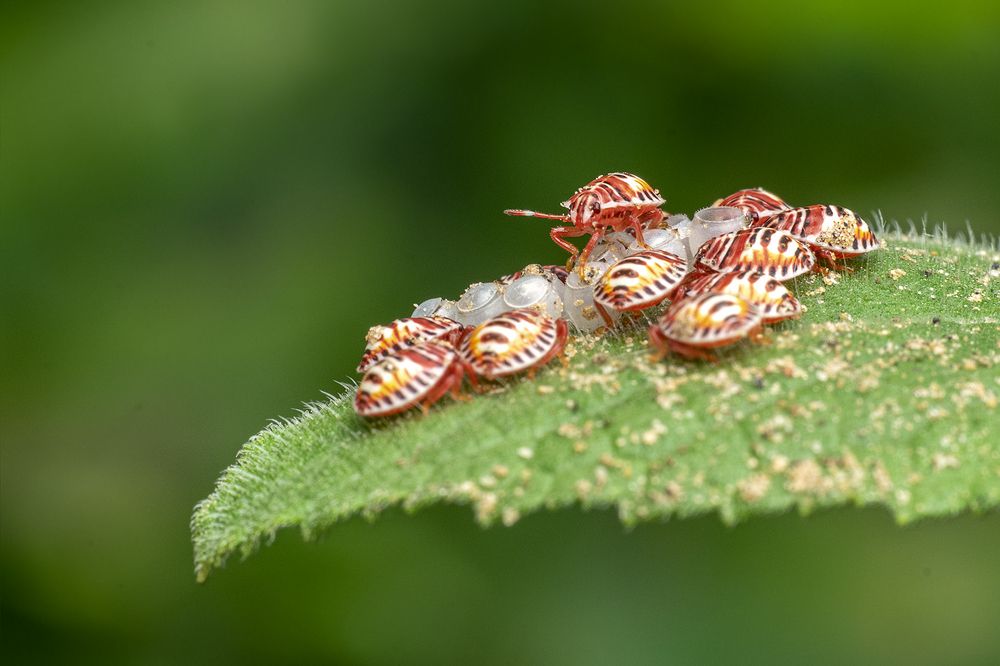 Photograph by Mukesh Tripathi
