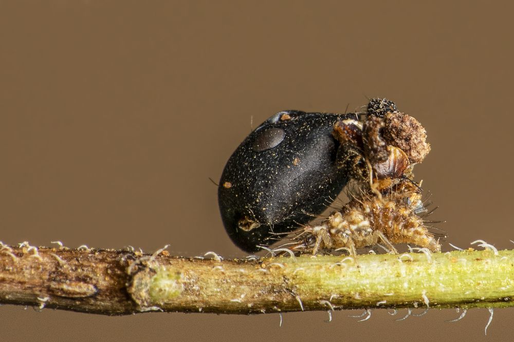 Photograph by Mukesh Tripathi