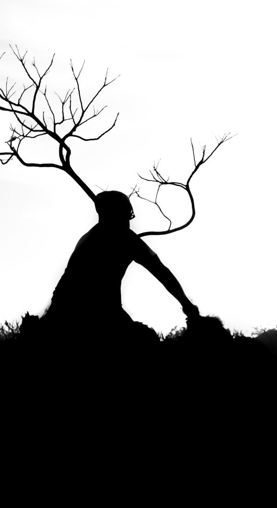 Supera El Árbol Superarás Tus Miedos