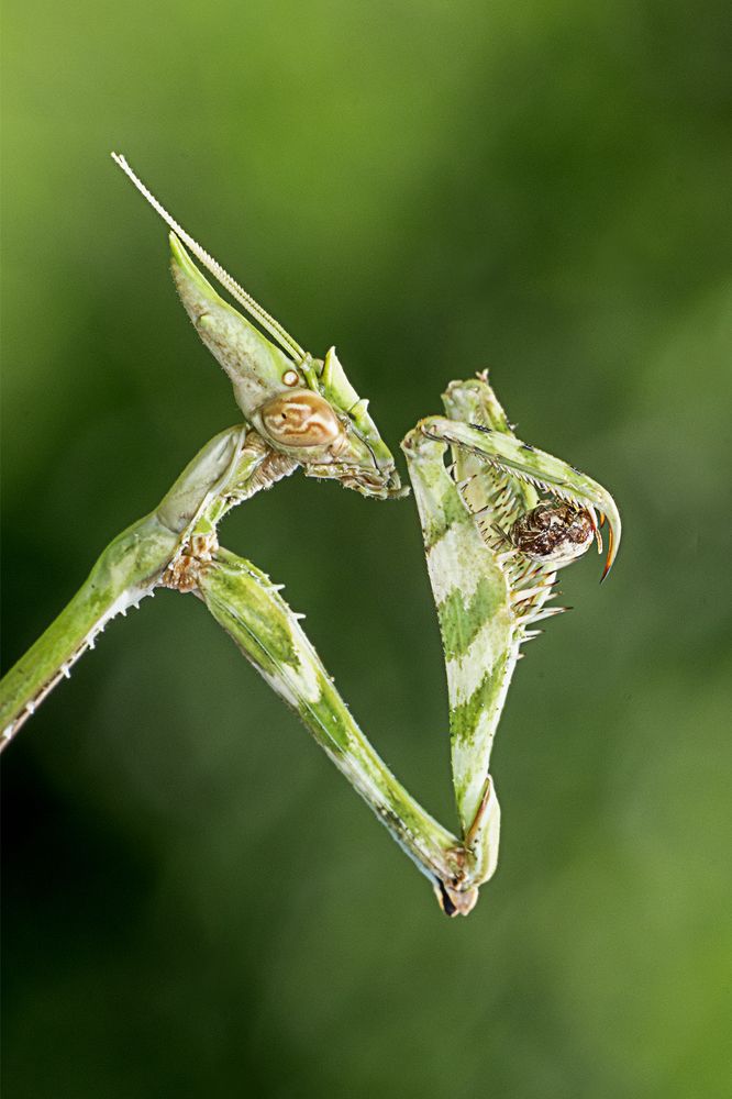 Photograph by Mukesh Tripathi