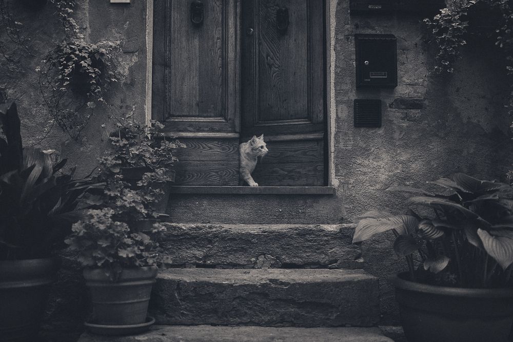 Photograph by Антон Ростовский