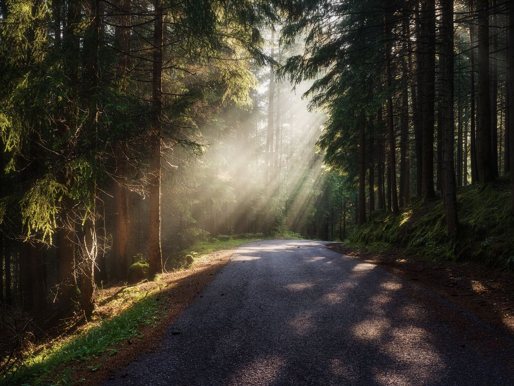 Photograph by Антон Ростовский