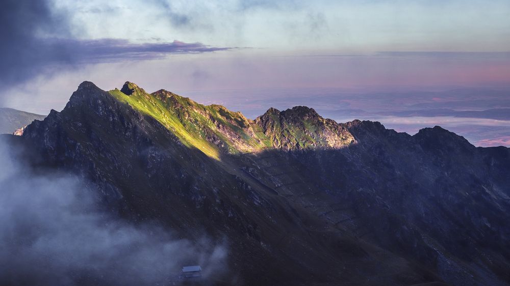 Фотография автора Flegner Calin