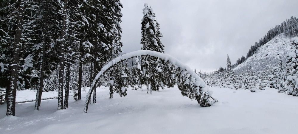 Photograph by Raduca Cosmin