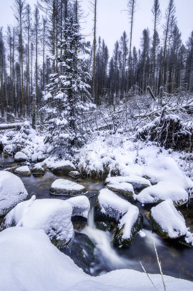 Photograph by ABHISHEK DEY