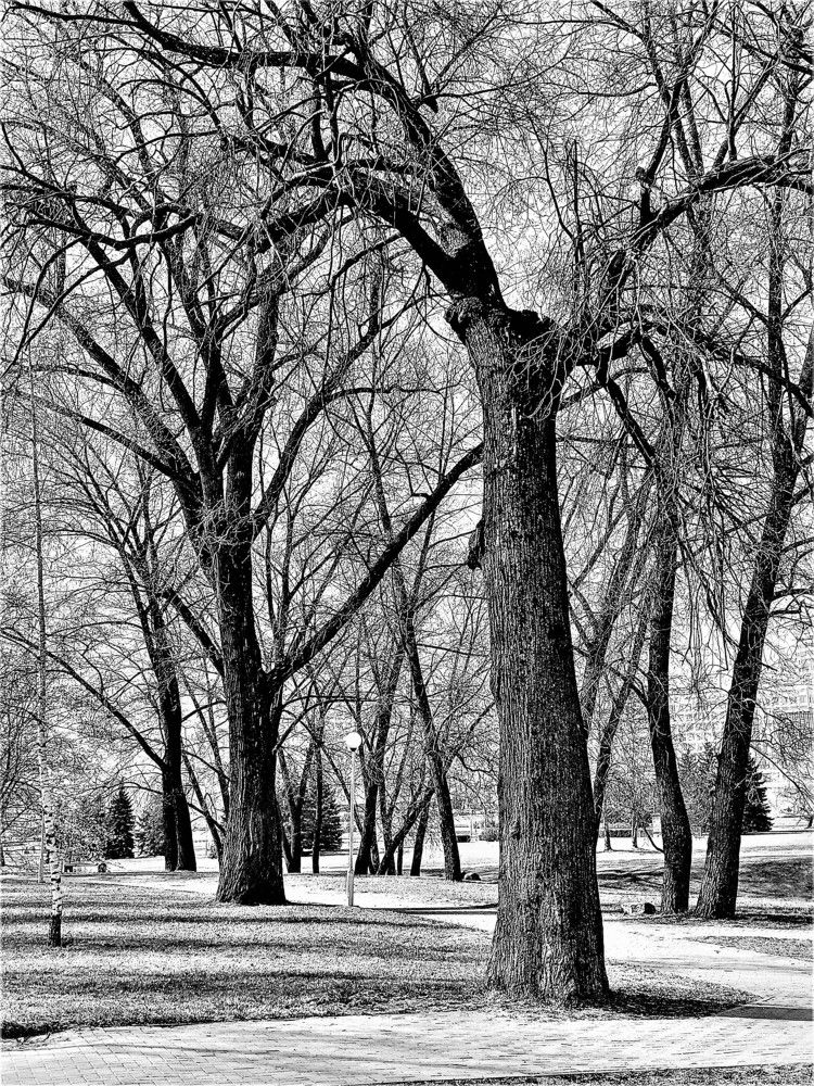 Photograph by Владимир Шнип