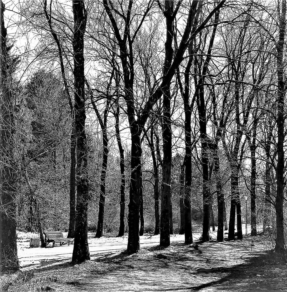 Photograph by Владимир Шнип