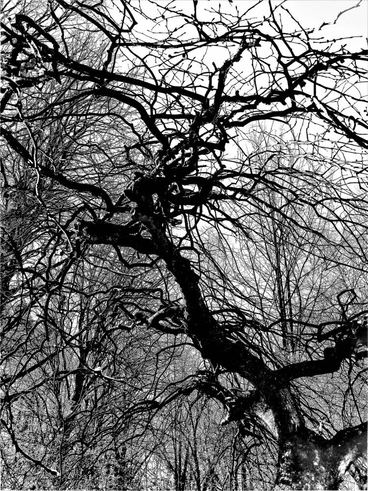 Photograph by Владимир Шнип