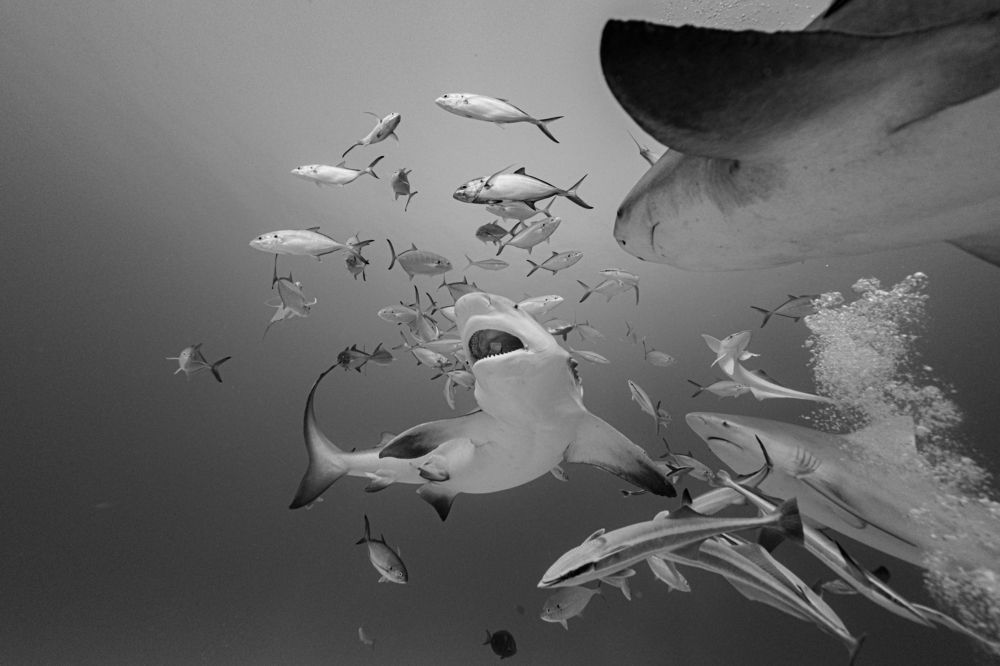 Photograph by Mizael Palomeque