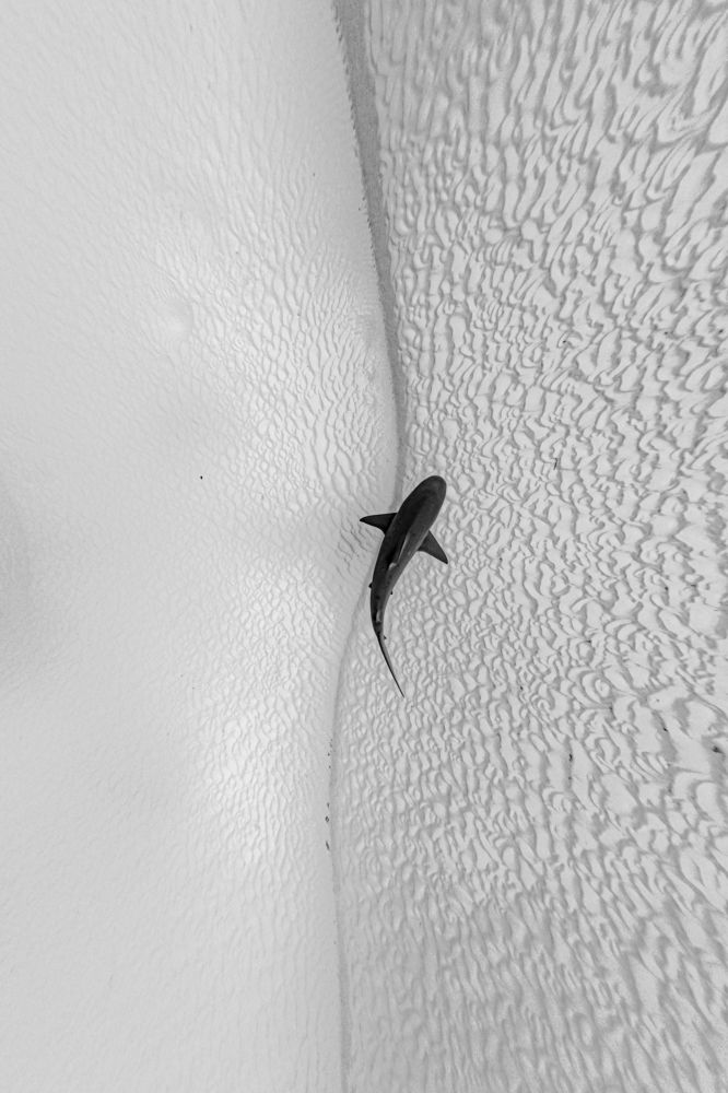 Photograph by Mizael Palomeque