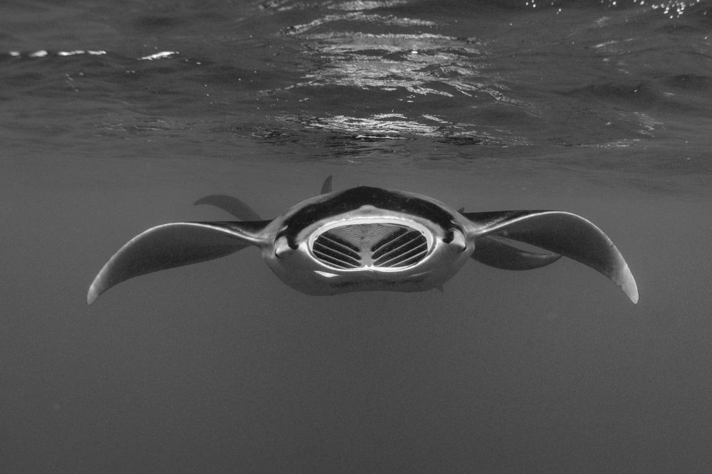 Photograph by Mizael Palomeque