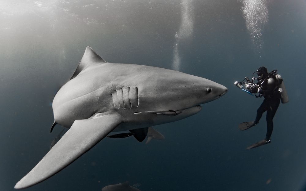 Photograph by Mizael Palomeque