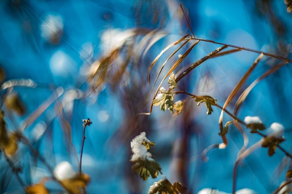 Фотография автора Вадим Белов