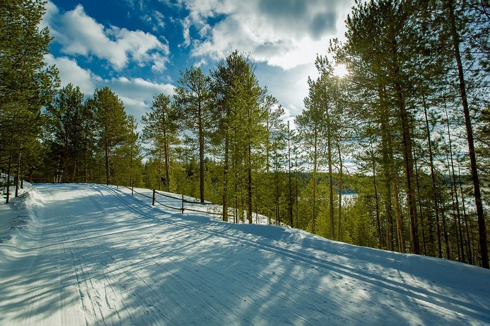 Фотография автора Вадим Белов