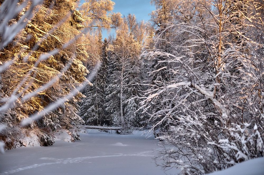 Фотография автора Вадим Белов