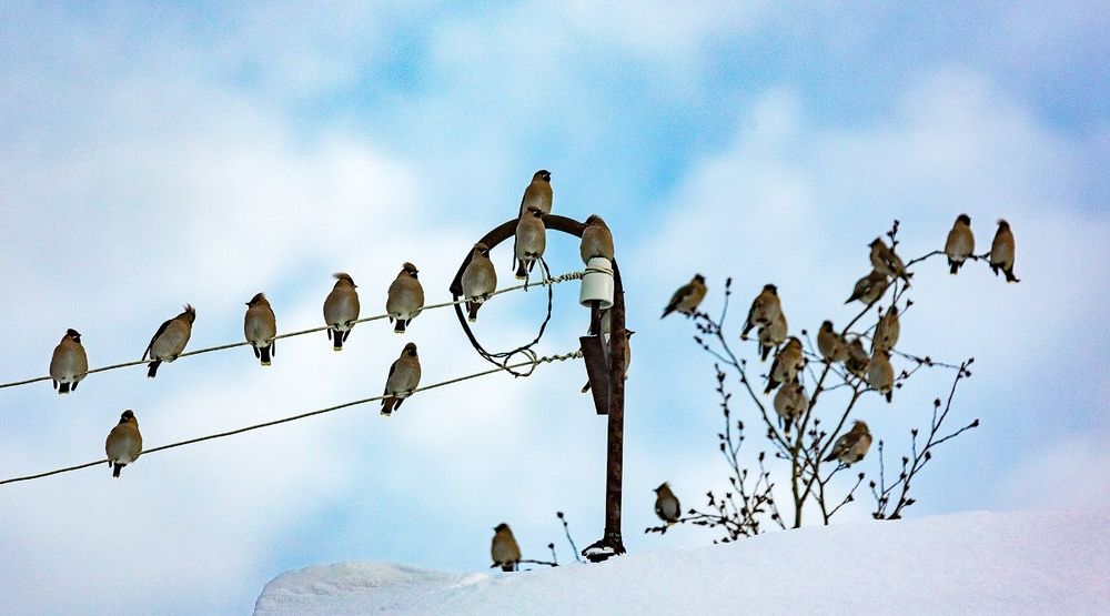Фотография автора Вадим Белов
