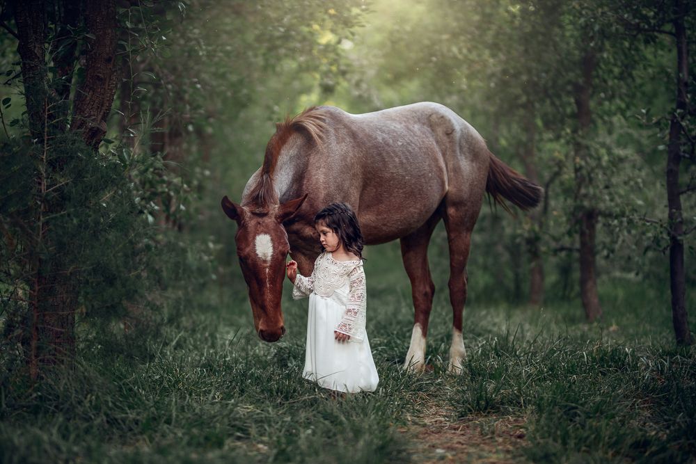 Фотография автора Ana Verdugo