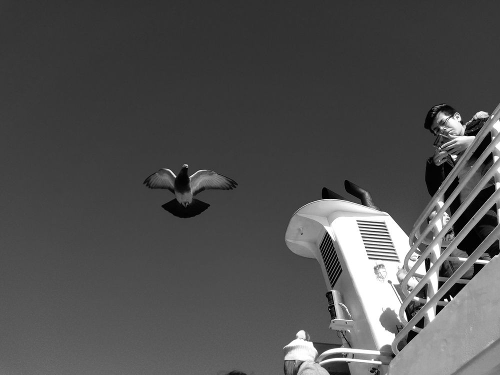 Photograph by Laura Consuelo Dominguez Chitiva