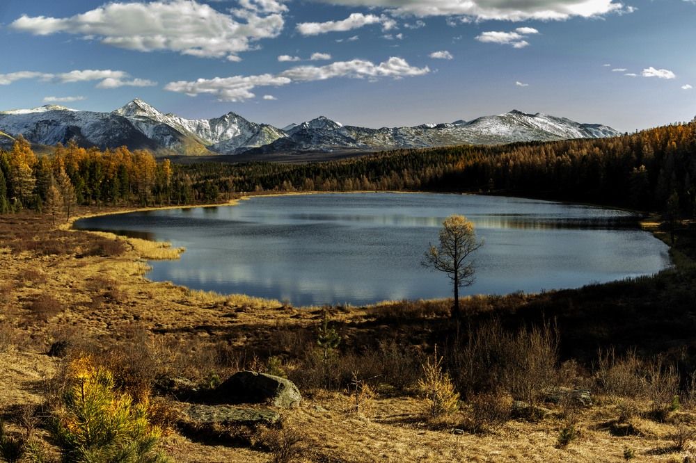 Photograph by Владимир Каверин