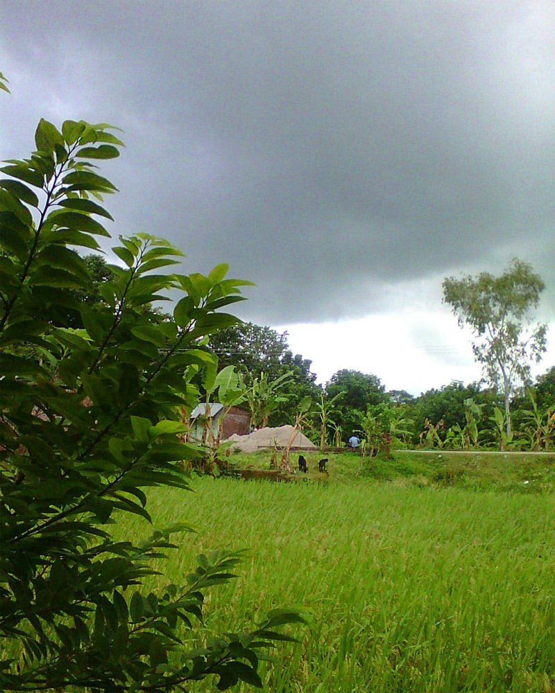 The rainy village