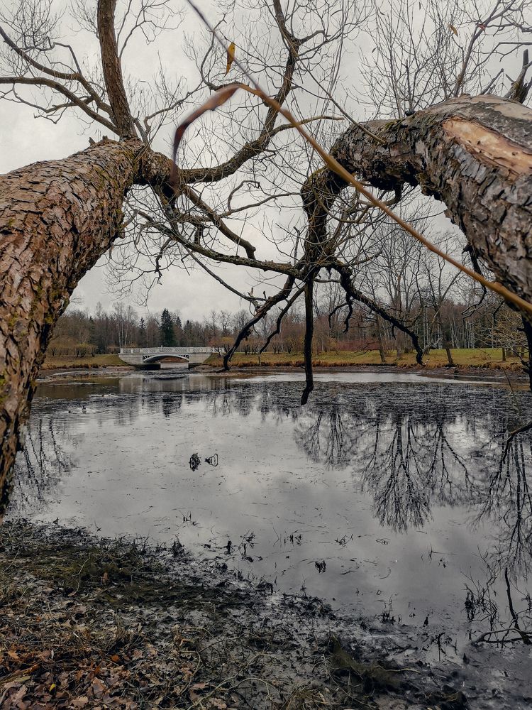 Photograph by Светлана Морева