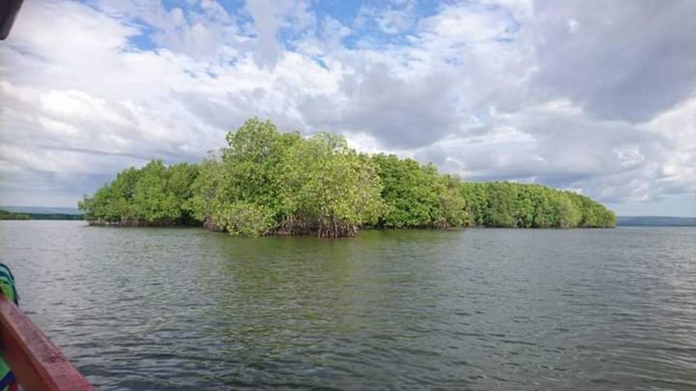 Photograph by Stacey Oberholster