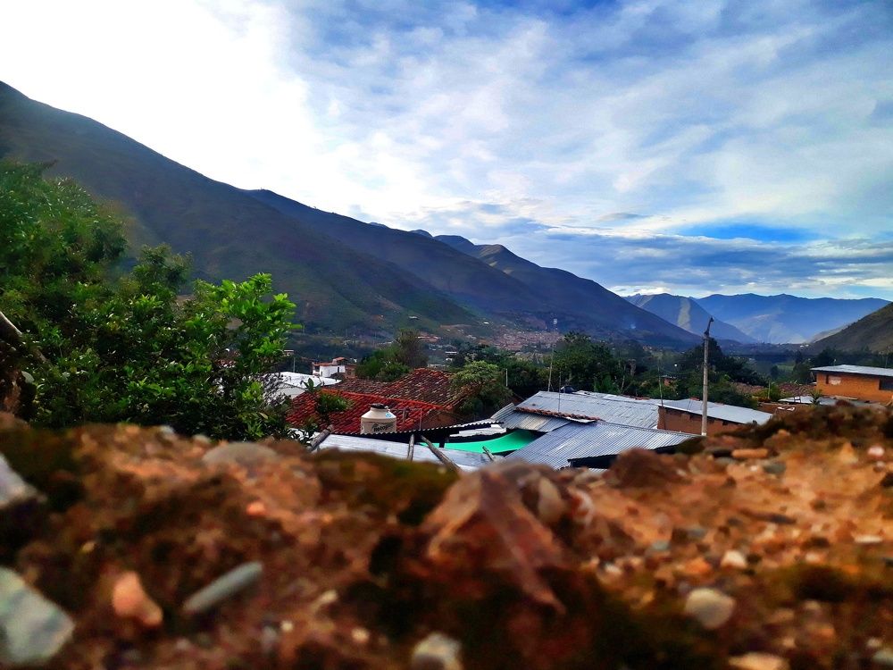 Photo #5905947
