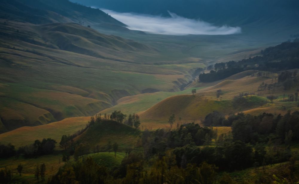 Photograph by Ryan Eko P